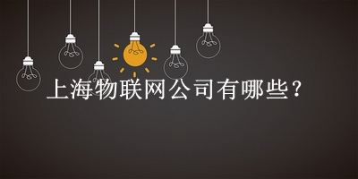 上海物聯(lián)網公司