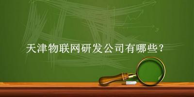 天津物聯(lián)網研發(fā)公司